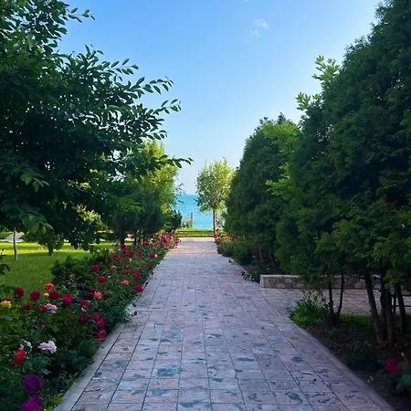 Sea View Noks Lejlighed *